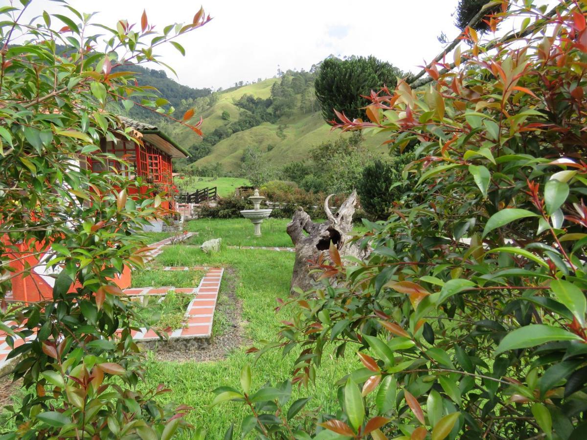 Ecohotel Pinohermoso Reserva Natural Salento Exteriér fotografie