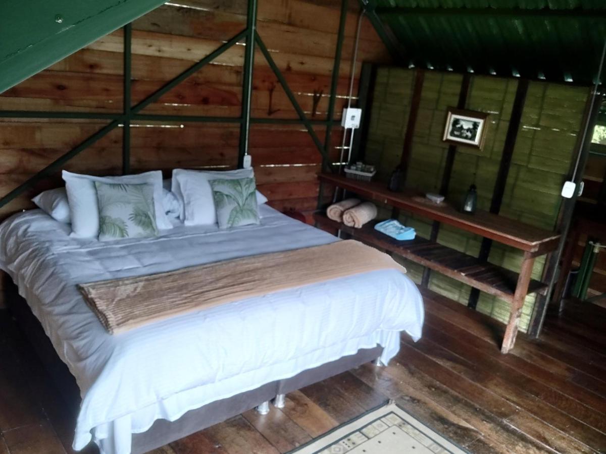 Ecohotel Pinohermoso Reserva Natural Salento Exteriér fotografie