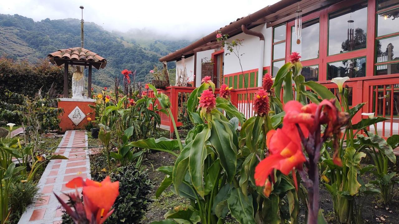 Ecohotel Pinohermoso Reserva Natural Salento Exteriér fotografie