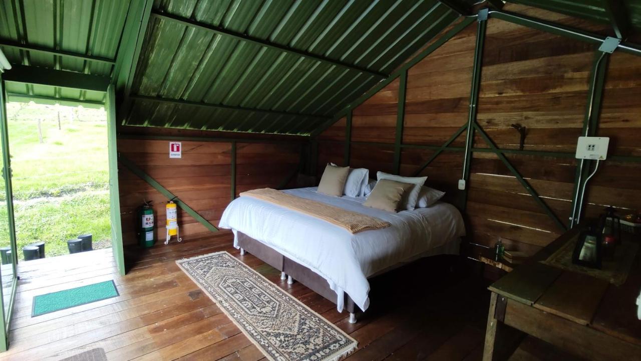 Ecohotel Pinohermoso Reserva Natural Salento Exteriér fotografie