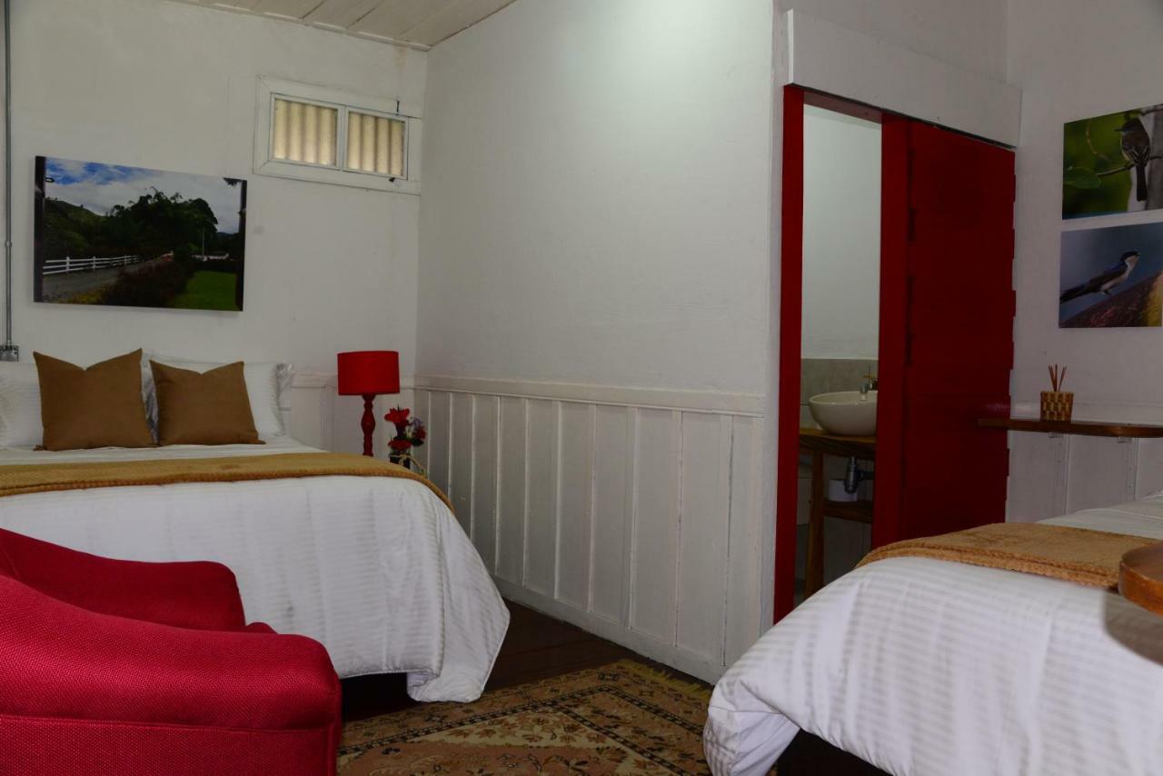 Ecohotel Pinohermoso Reserva Natural Salento Exteriér fotografie